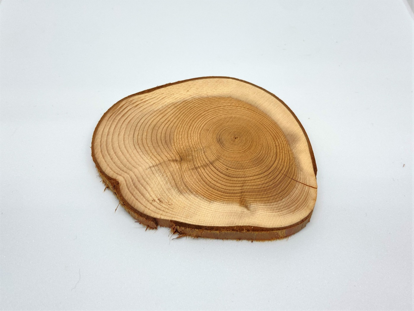 25個入 DIYパーツ 木製 天然木 切り株 コースター シンプル ナチュラル